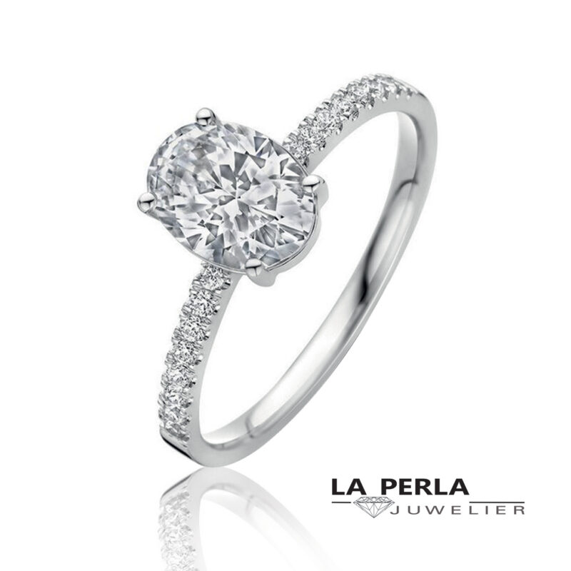 Huiscollectie ring 60076